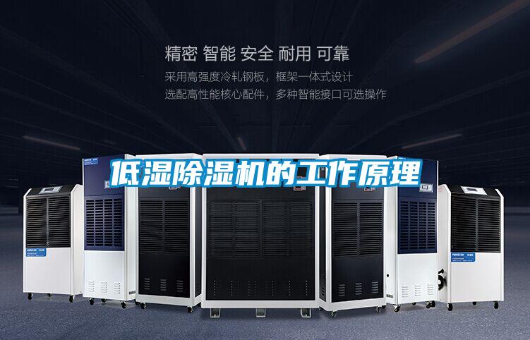 低湿黄瓜视频下载污机的工作原理