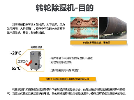 猫粮防潮秘籍，猫粮如何储存