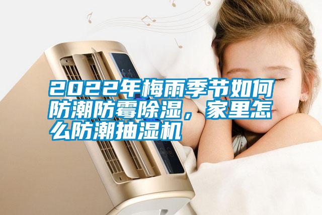 2022年梅雨季节如何防潮防霉黄瓜视频下载污，家里怎么防潮抽湿机