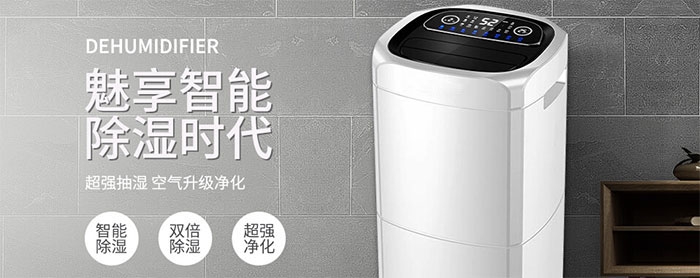 梅雨季怎么避免猫咪因潮湿而感染猫癣？
