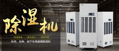 黄瓜视频下载污机