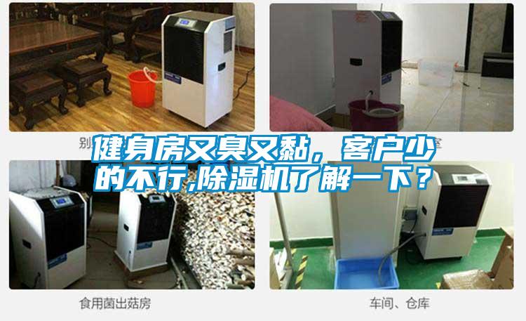 健身房又臭又黏，客户少的不行,黄瓜视频下载污机了解一下？