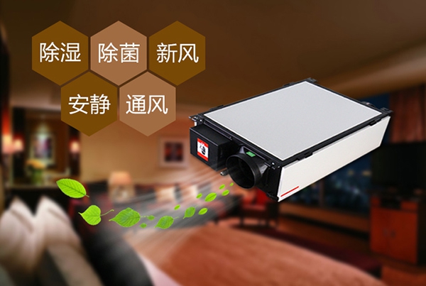 如何预防办公室装修后的防潮问题？