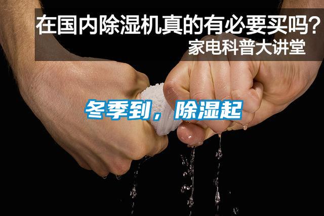 冬季到，黄瓜视频下载污起