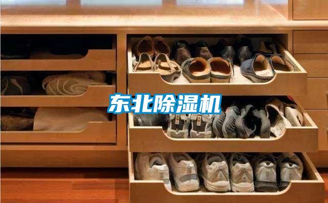 东北黄瓜视频下载污机