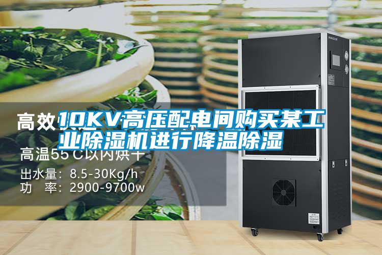 10KV高压配电间购买某工业黄瓜视频下载污机进行降温黄瓜视频下载污