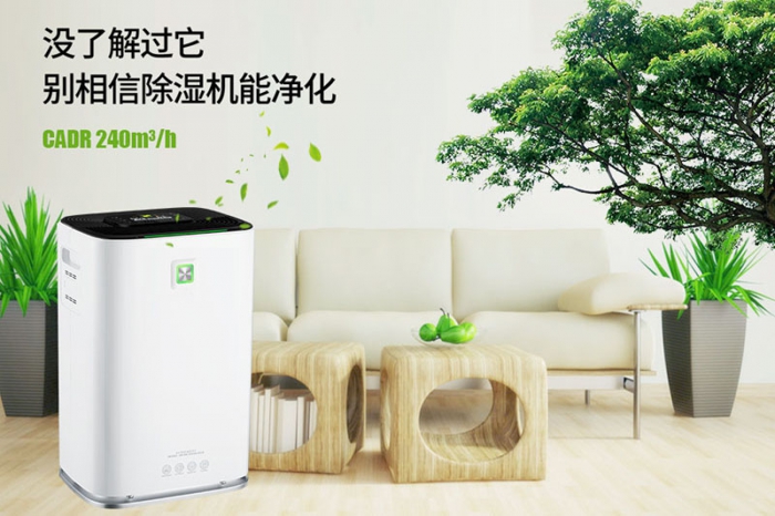 一到回南天狗狗就感冒+皮肤病，怎么办？