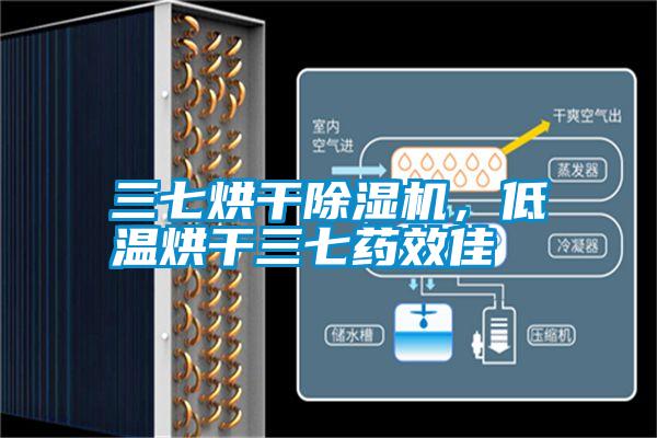 三七烘干黄瓜视频下载污机，低温烘干三七药效佳