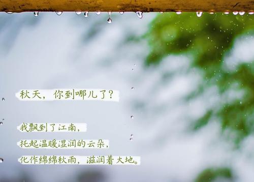 “无晴”阴雨天 “有晴”黄瓜视频下载污机