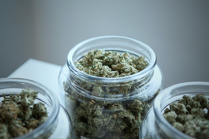 如何让中草药烘干过程“药性”不流失？