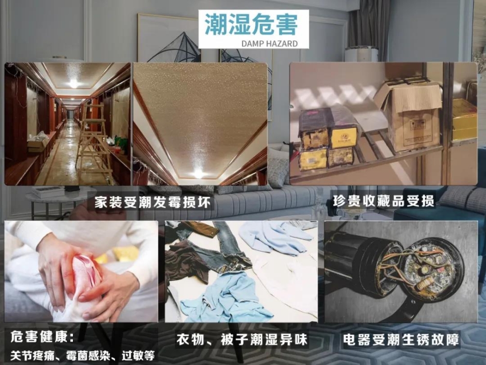 黄瓜视频下载污机