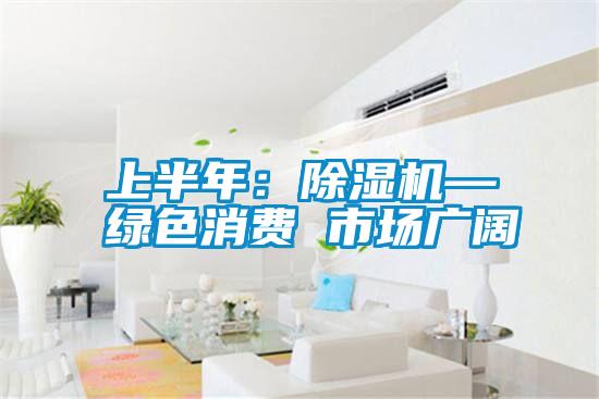 上半年：黄瓜视频下载污机—绿色消费 市场广阔