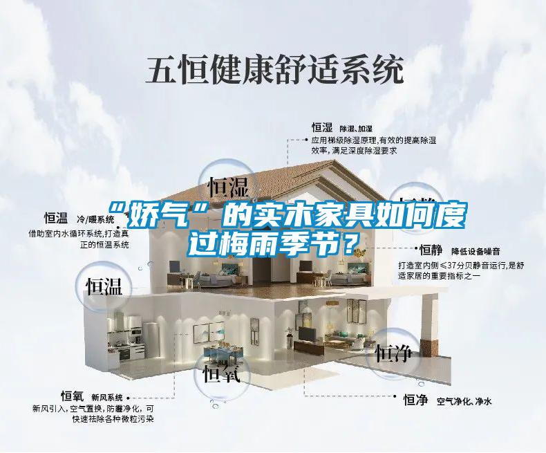 “娇气”的实木家具如何度过梅雨季节？