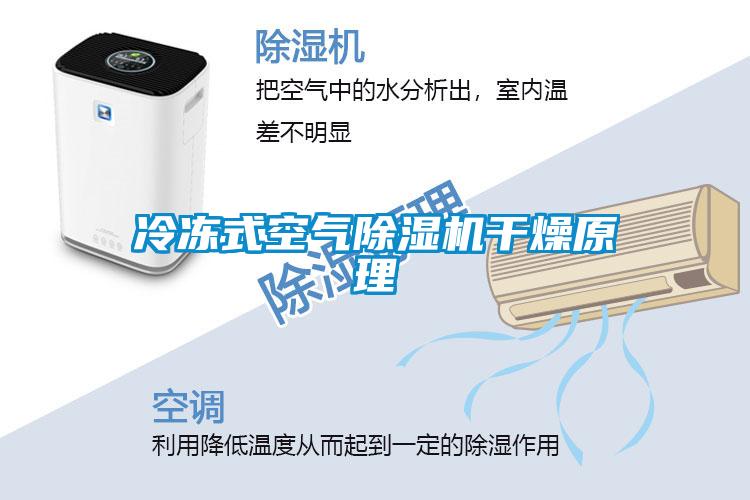 冷冻式空气黄瓜视频下载污机干燥原理