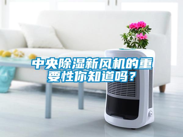 中央黄瓜视频下载污新风机的重要性你知道吗？