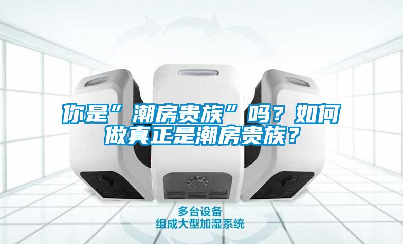 你是”潮房贵族”吗？如何做真正是潮房贵族？