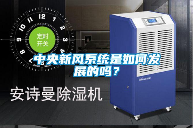 中央新风系统是如何发展的吗？