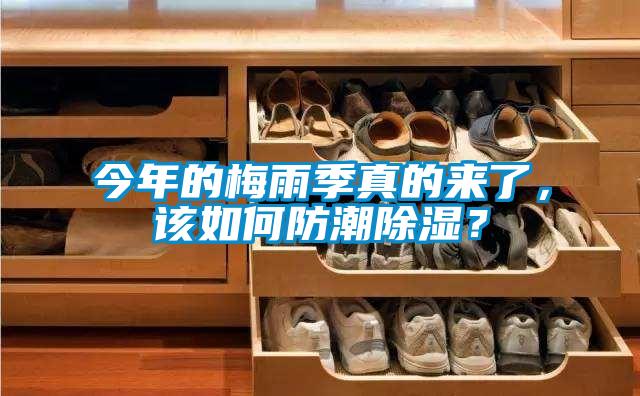 今年的梅雨季真的来了，该如何防潮黄瓜视频下载污？