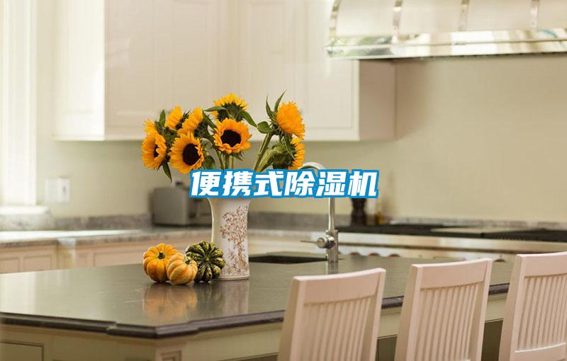 便携式黄瓜视频下载污机