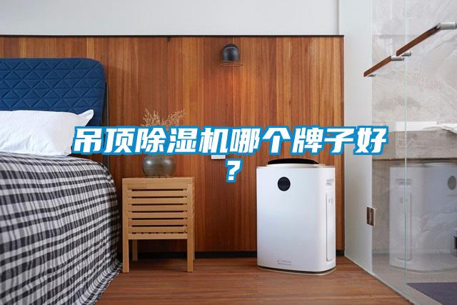 吊顶黄瓜视频下载污机哪个牌子好？