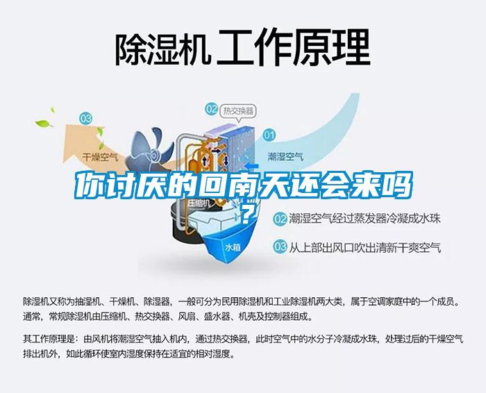 你讨厌的回南天还会来吗？