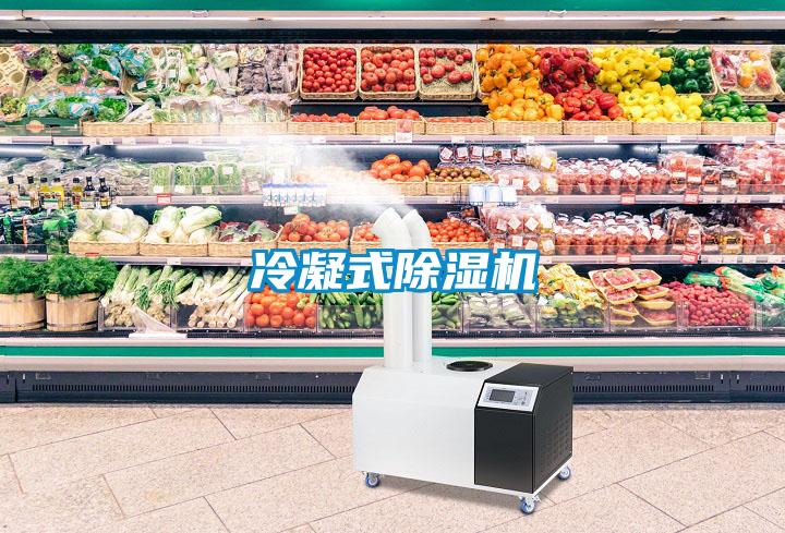 冷凝式黄瓜视频下载污机