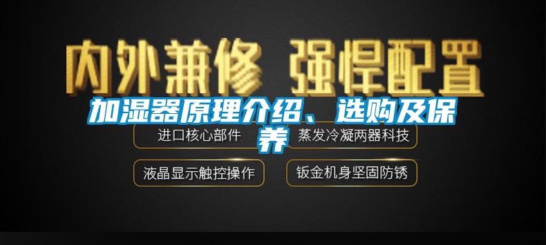 加湿器原理介绍、选购及保养
