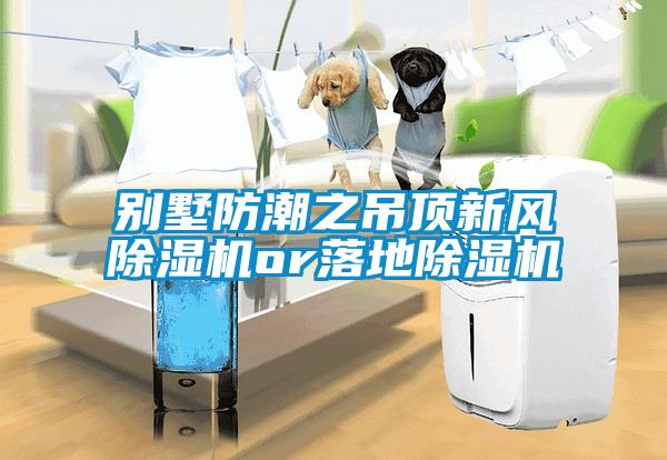 别墅防潮之吊顶新风黄瓜视频下载污机or落地黄瓜视频下载污机