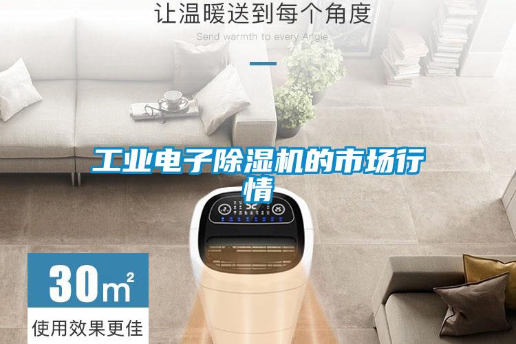 工业电子黄瓜视频下载污机的市场行情