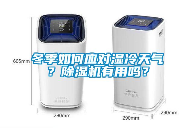 冬季如何应对湿冷天气？黄瓜视频下载污机有用吗？