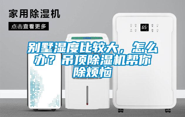 别墅湿度比较大，怎么办？吊顶黄瓜视频下载污机帮你除烦恼