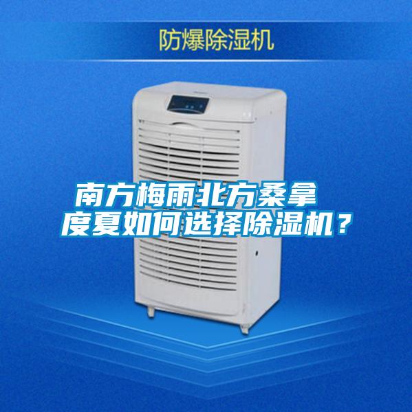 南方梅雨北方桑拿 度夏如何选择黄瓜视频下载污机？