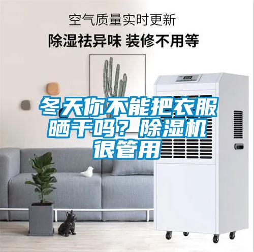 冬天你不能把衣服晒干吗？黄瓜视频下载污机很管用