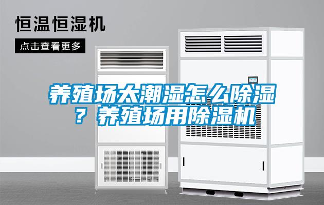 养殖场太潮湿怎么黄瓜视频下载污？养殖场用黄瓜视频下载污机