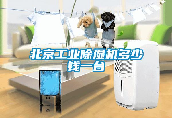 北京工业黄瓜视频下载污机多少钱一台