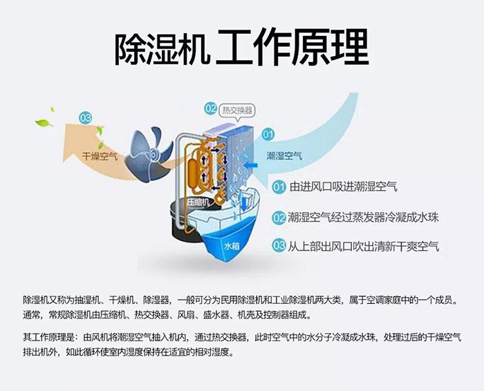 黄瓜视频网站入口新风黄瓜视频下载污