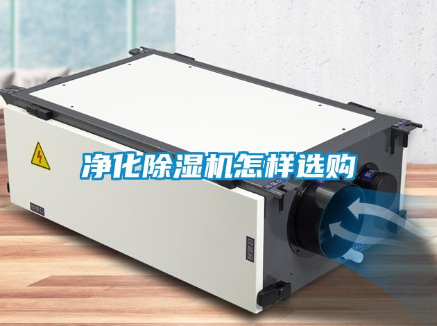 净化黄瓜视频下载污机怎样选购
