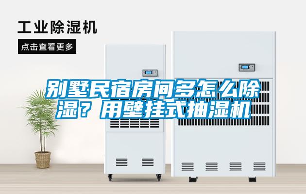 别墅民宿房间多怎么黄瓜视频下载污？用壁挂式抽湿机