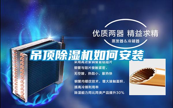 吊顶黄瓜视频下载污机如何安装