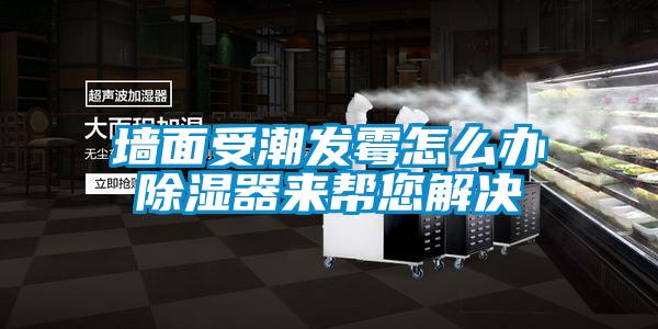 墙面受潮发霉怎么办黄瓜视频下载污器来帮您解决