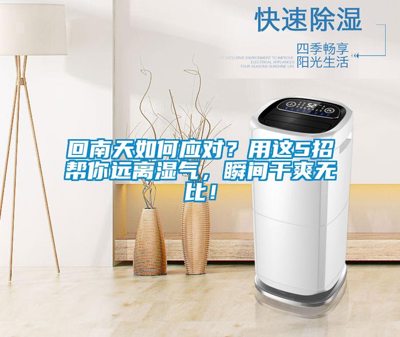 回南天如何应对？用这5招帮你远离湿气，瞬间干爽无比！