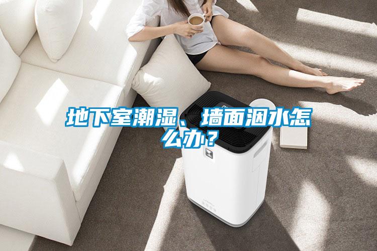 地下室潮湿、墙面洇水怎么办？