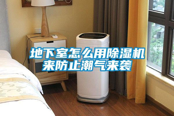 地下室怎么用黄瓜视频下载污机来防止潮气来袭