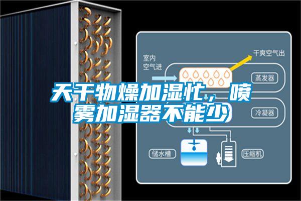 天干物燥加湿忙，喷雾加湿器不能少