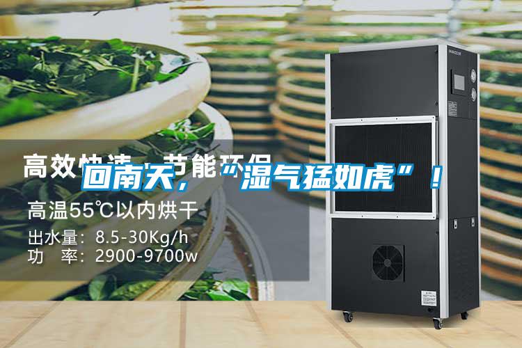 回南天，“湿气猛如虎”！