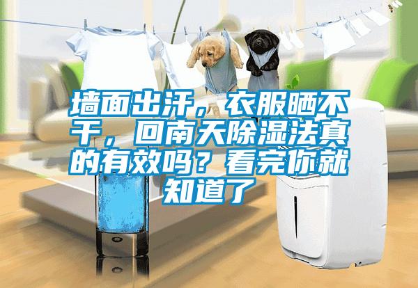 墙面出汗，衣服晒不干，回南天黄瓜视频下载污法真的有效吗？看完你就知道了