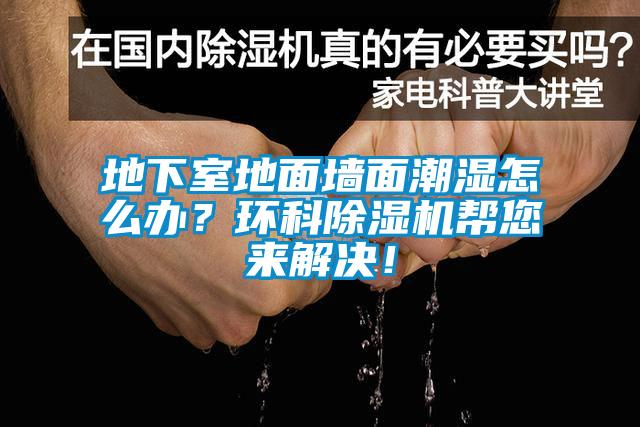 地下室地面墙面潮湿怎么办？环科黄瓜视频下载污机帮您来解决！