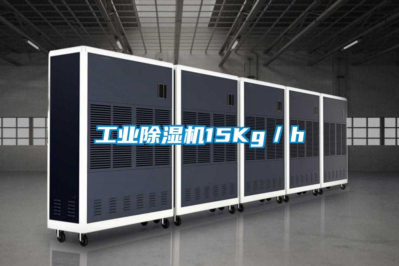 工业黄瓜视频下载污机15Kg／h