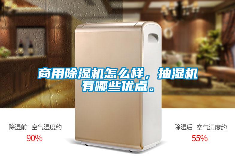 商用黄瓜视频下载污机怎么样，抽湿机有哪些优点。