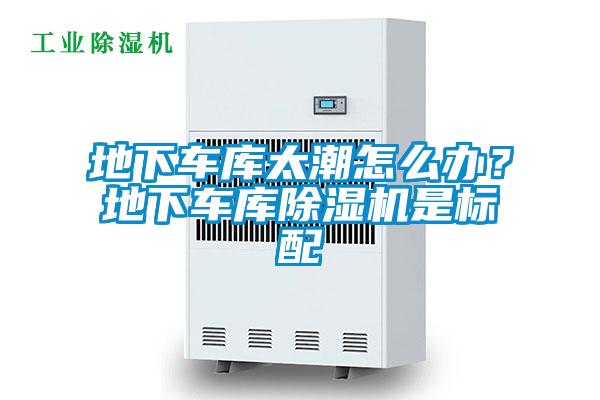 地下车库太潮怎么办？地下车库黄瓜视频下载污机是标配
